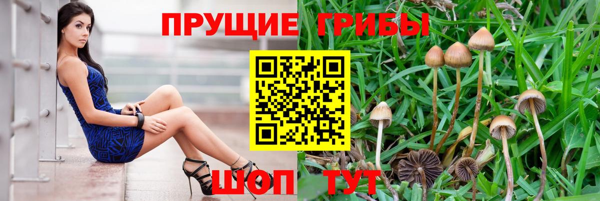 даркнет сайт  Псилоцибиновые грибы Cubensis  Псилоцибиновые грибы MAGIC MUSHROOMS  Вход с VPN  Волгодонск 